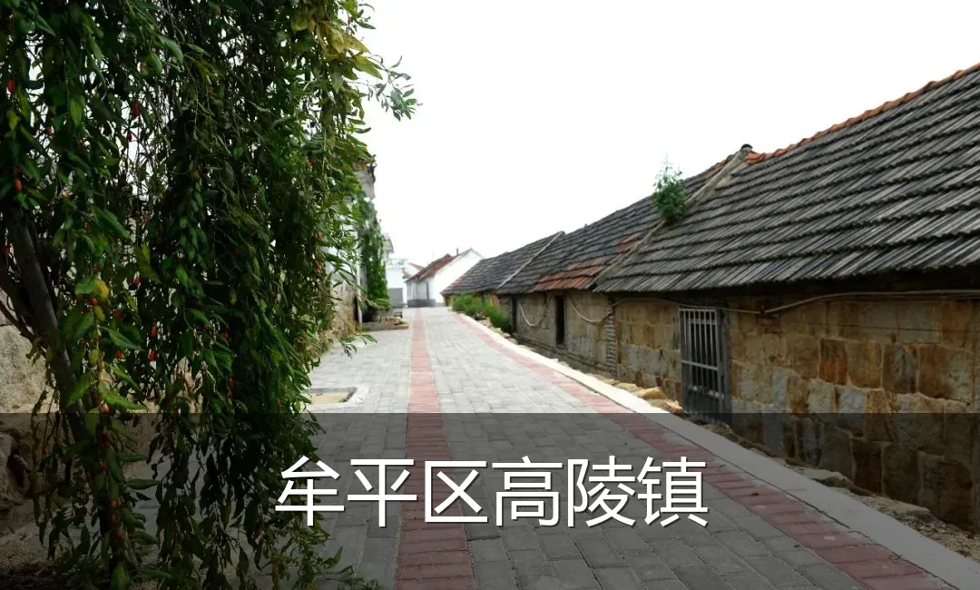 牟平区高陵镇